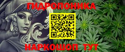 молекула духа Коммунар
