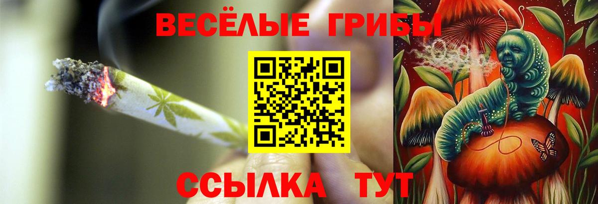 Псилоцибиновые грибы прущие грибы Махачкала
